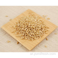 شوفان الأرز القمح